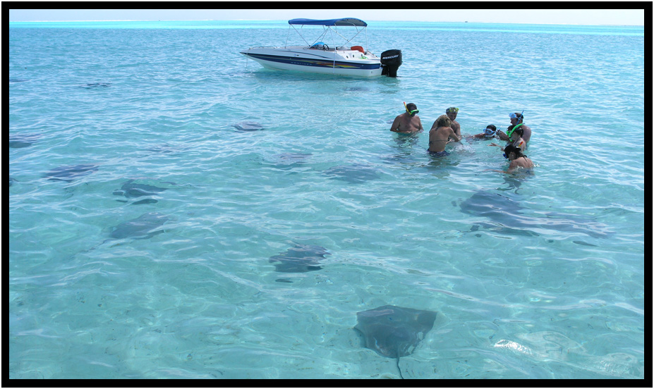 snorkeling